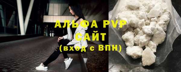 ПСИЛОЦИБИНОВЫЕ ГРИБЫ Каменка