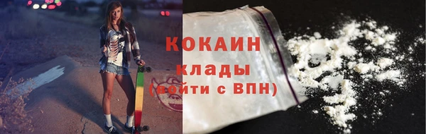 крисы Каменногорск