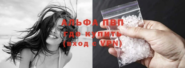 ПСИЛОЦИБИНОВЫЕ ГРИБЫ Каменка