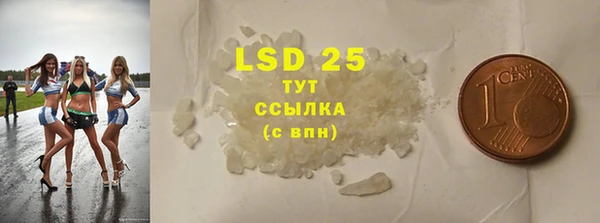 ПСИЛОЦИБИНОВЫЕ ГРИБЫ Каменка