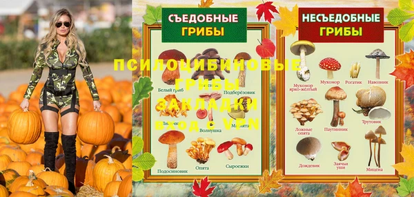 крисы Каменногорск