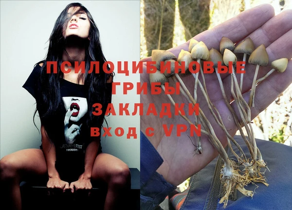 первитин Каменск-Шахтинский