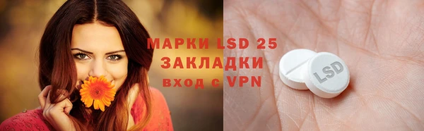ПСИЛОЦИБИНОВЫЕ ГРИБЫ Каменка