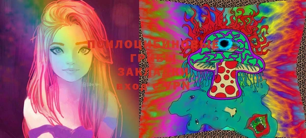 ПСИЛОЦИБИНОВЫЕ ГРИБЫ Каменка