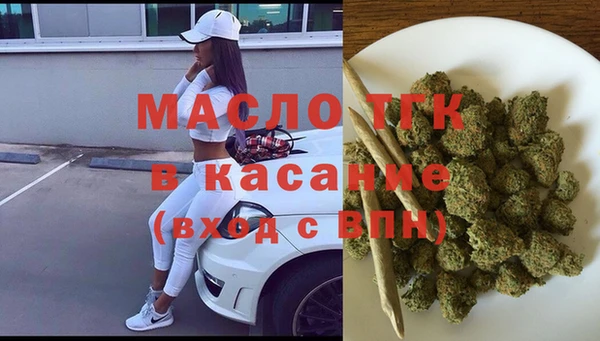 крисы Каменногорск