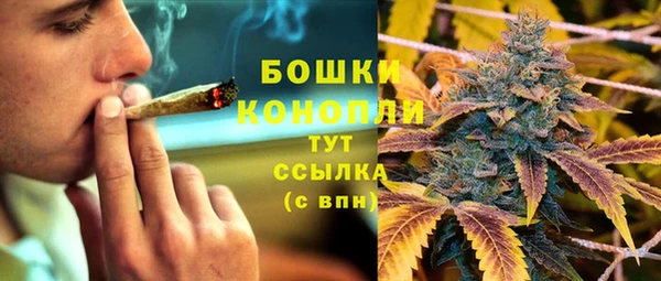 ПСИЛОЦИБИНОВЫЕ ГРИБЫ Каменка