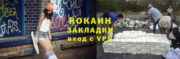 ПСИЛОЦИБИНОВЫЕ ГРИБЫ Каменка