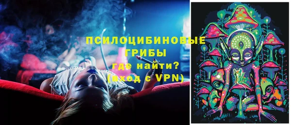 ПСИЛОЦИБИНОВЫЕ ГРИБЫ Каменка