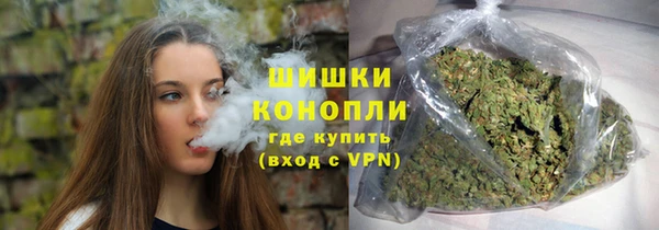 ПСИЛОЦИБИНОВЫЕ ГРИБЫ Каменка