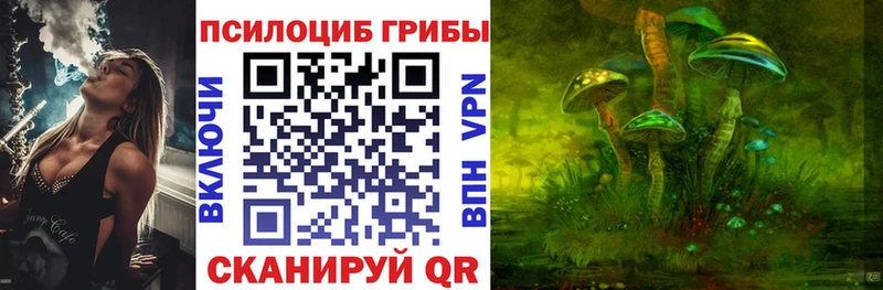 Купить закладки  Наро-Фоминск  Псилоцибиновые грибы Magic Shrooms 